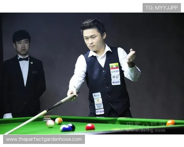 尊龙体育足球客户服务与技术支持，保障用户体验的全面提升