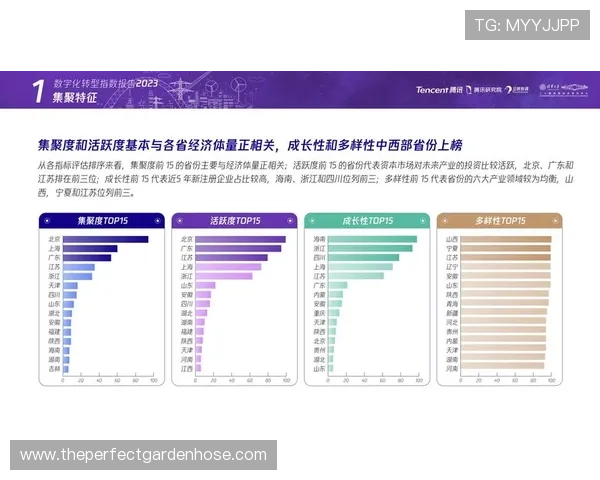 明发体育在推动体育产业数字化转型中的重要作用与未来规划