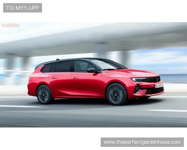 欧宝真人平台最新动态与行业资讯，掌握第一手信息，助你把握真人娱乐市场的发展趋势