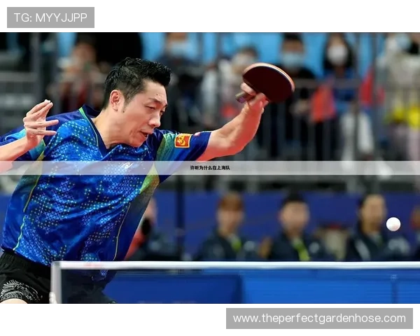 浩瀚体育网址为体育爱好者提供专业赛事分析和实时比分更新的最佳选择 浩瀚体育网址为体育爱好者提供专业赛事分析和实时比分更新的最佳选择