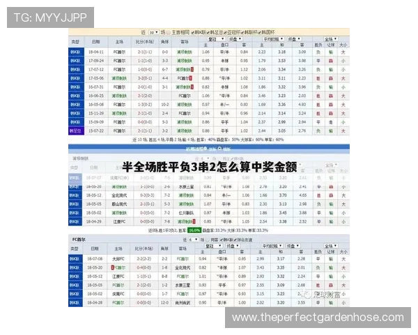 足球竞猜竞彩网官网首页手机版全面解析，提供专业的赛事分析与安全的投注环境