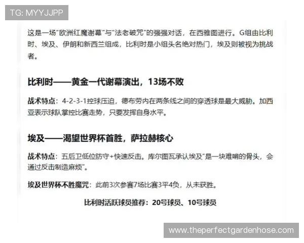 世界杯比利时对阵埃及比赛控球战术分析与精彩亮点解读 世界杯比利时对阵埃及比赛控球战术分析与精彩亮点解读